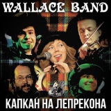Обложка для Wallace Band - My Singing Bird