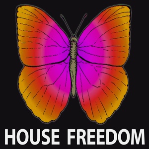 Обложка для Rousing House - I Fly