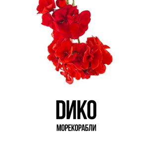 Обложка для dиko - На легком