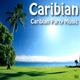 Обложка для Caribian Party Music - Pirates of the Caribbean Band