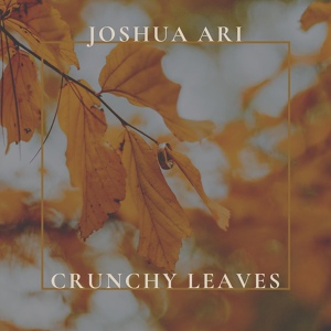 Обложка для Joshua Ari - Crunchy Leaves