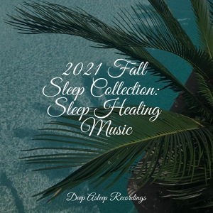 Обложка для Best Relaxing SPA Music, Zarobi, Shakuhachi Sakano - Zen Garden