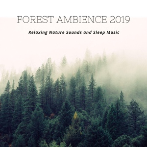 Обложка для Mark Mindful - Calming Forest