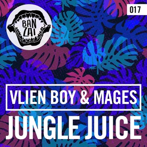 Обложка для Vlien Boy, Mages - Jungle Juice