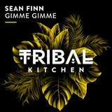 Обложка для Sean Finn - Gimme Gimme