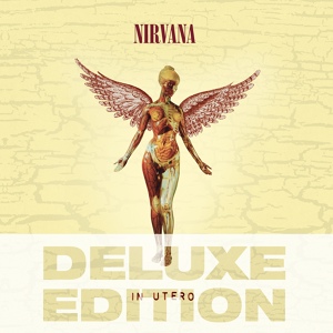 Обложка для Nirvana - Scentless Apprentice
