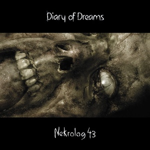 Обложка для Diary of Dreams - Remedy Child