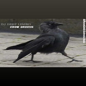 Обложка для DJ deep Limbo - Crow groove