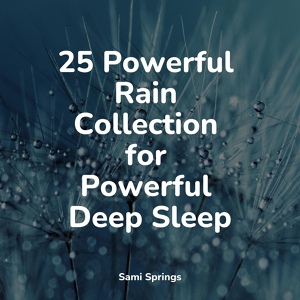 Обложка для Wellness, Regen, Schlaflieder Relax - Evening Rains