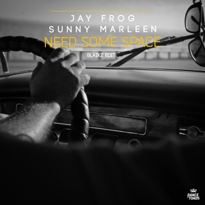 Обложка для Jay Frog, Sunny Marleen - Need Some Space