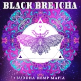 Обложка для Black Brejcha - Remote Viewing