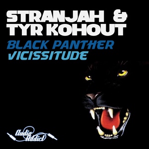 Обложка для Stranjah & Tyr Kohout - Vicissitude