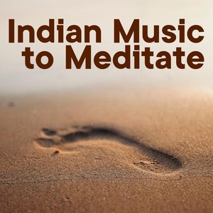 Обложка для The Healing Project, Schola Camerata - Indian Music To Meditate