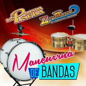 Обложка для Banda Zirahuen - La Araña