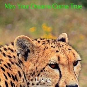 Обложка для May Your Dreams Come True - Beginning of the World