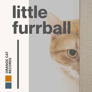 Обложка для Cats Music Zone - Cheeky