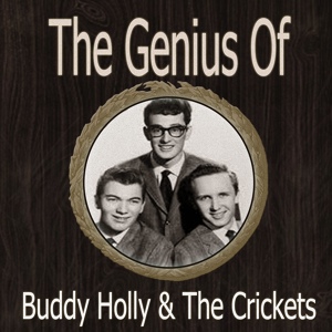 Обложка для Buddy Holly and the Crickets - Rock