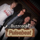 Обложка для Buzzcocks - Romance