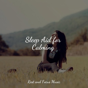 Обложка для Namaste Healing Yoga, Sleeping Baby Songs, Calming Sounds - Dream Waves of Warmth