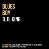 Обложка для B.B. King - Every Day I Have The Blues (1955)