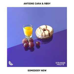 Обложка для Antoine Cara, RØDY - Somebody New