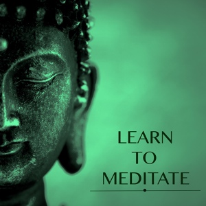 Обложка для Meditative Music Guru - Serenity Music