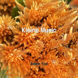 Обложка для Aiden Yoo - Kleine Music
