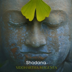 Обложка для Siddartha Magenta - satmya