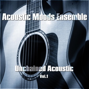 Обложка для Acoustic Moods Ensemble - Flamenco Fyre