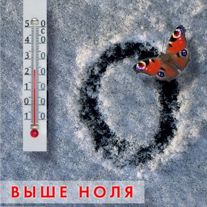 Обложка для Чистяков Фёдор - Цикорий
