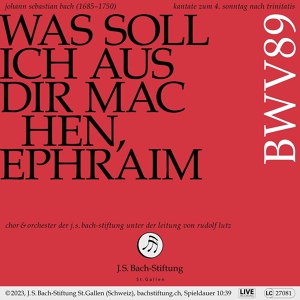 Обложка для Orchester der J.S. Bach-Stiftung, Rudolf Lutz, Dominik Wörner - I. Arie (Bass) - Was soll ich aus dir machen, Ephraim