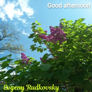 Обложка для Evgeny Rudkovsky - Nice Day