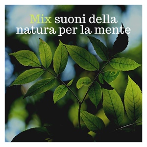Обложка для Natura Viva - Serena armonia