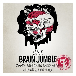 Обложка для Zakir - Brain Jumble