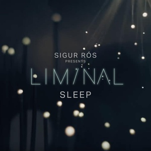 Обложка для Sigur Rós - Sleep 5