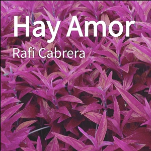 Обложка для Rafi Cabrera - Hay Amor