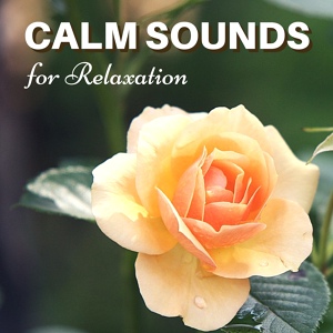 Обложка для Calm Peace and Relax - Calm Chaos