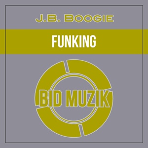 Обложка для J.B. Boogie - Funking