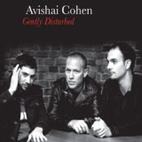 Обложка для Avishai Cohen - Variations in G Minor
