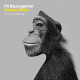Обложка для Pit Baumgartner - Something Is Working