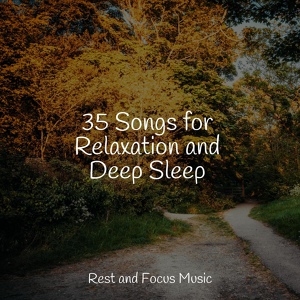 Обложка для Avslappning Sound, Ruído branco, Music to Relax in Free Time - Natural Essence