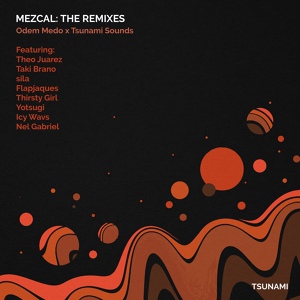 Обложка для Nel Gabriel, Odem Medo, Tsunami Sounds - Javelina (Nel Gabriel remix)