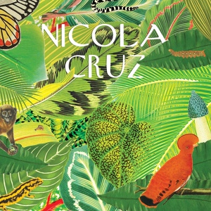 Обложка для Nicola Cruz - Mantis