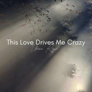 Обложка для Umar Keyn - This Love Drives Me Crazy