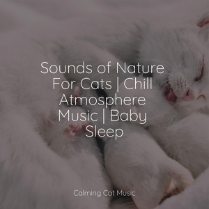 Обложка для Cats Music Zone, Cat Music Therapy, Pet Care Music Therapy - Relaxing Music and Gentle Ambience