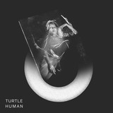 Обложка для Turtle - Elephant