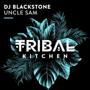 Обложка для DJ Blackstone - Uncle Sam