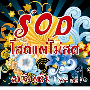 Обложка для S.O.D. Sod Tae Mai Sot - Sa-Baruem-Taruem