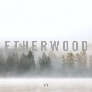 Обложка для Etherwood, feelswithcaps - A Hundred Oceans