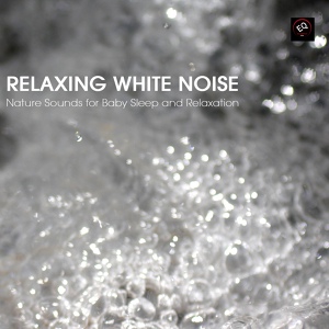 Обложка для Soothing White Noise for Sleeping Babies - Crickets at Night